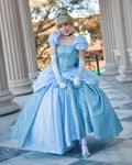 Cinder Princess Park Shoes